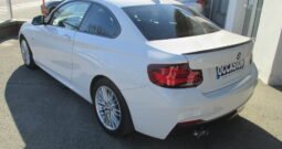 BMW Serie 2 220iA 184cv M Sport