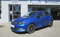 SKODA Fabia 1.2 TSi 90cv Monte Carlo